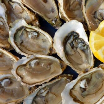 oysters-1958668_1280