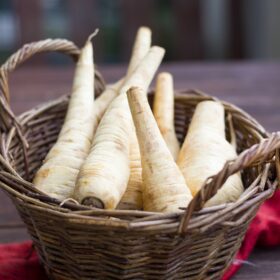 parsnip-5700588_1280